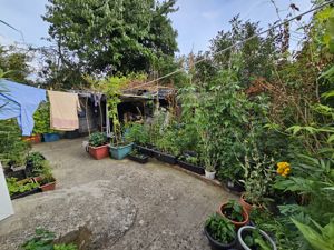 Photo 14- click for photo gallery